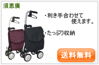 �E�H�[�L���O�J�[�g�E�X�C���O
