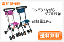 �e�C�R�u�E�i�m���ECPS01
