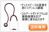 �v���t�F�b�V���i�����f��i���l�p�j