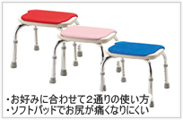 �V�����[�x���`CPE-N
