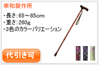 �e�C�R�u�E�X�e�b�L�E�L�k�iEP03�j