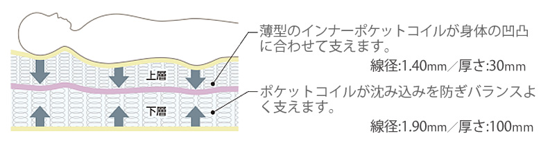 最上級の寝心地 ポケットコイルがバランスよく支ます