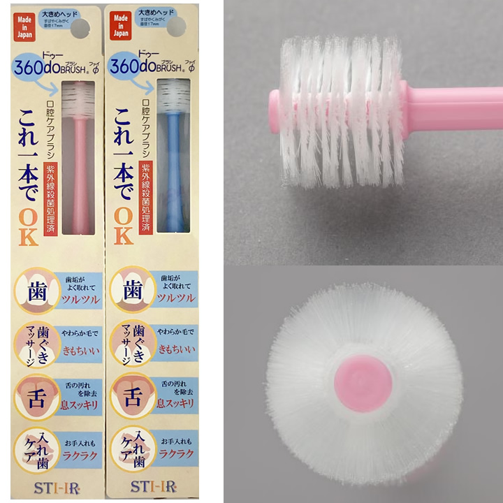 DPH-A2360do BRUSH Φ 360ドゥーブラシ ファイ 大き目ヘッド 介護用歯ブラシ 大人用 12本入り