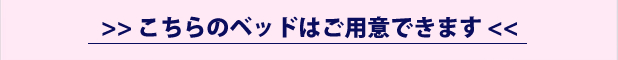 こちらのベットはご用意できます。