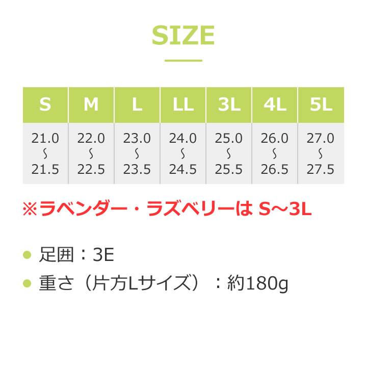 2064スリップオン ゆったり簡単 片足 あゆみシューズ 【室内・施設内用】