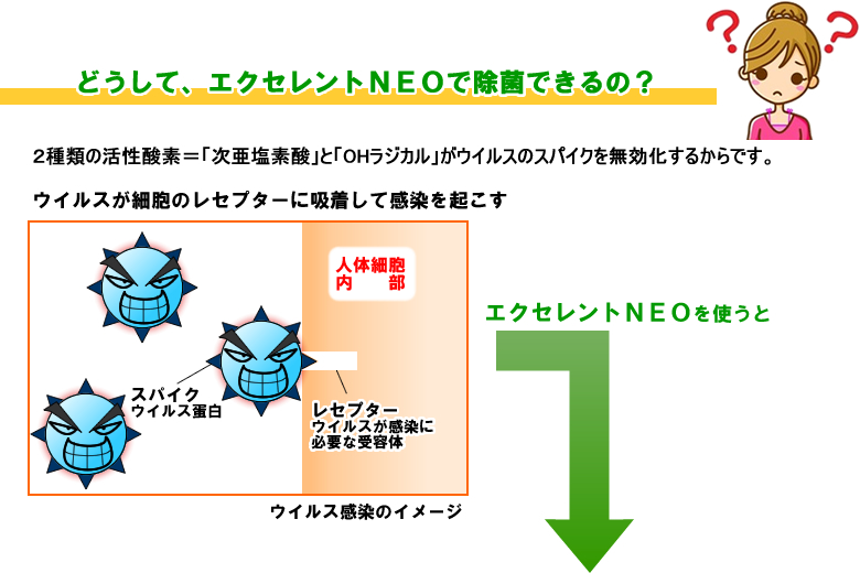 エクセレントNEO