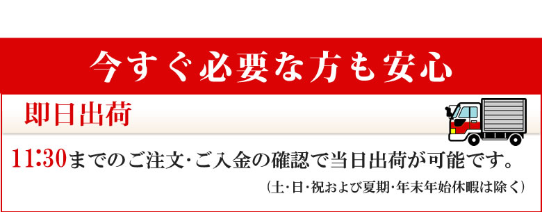 今すぐ必要な方も安心 即日出荷