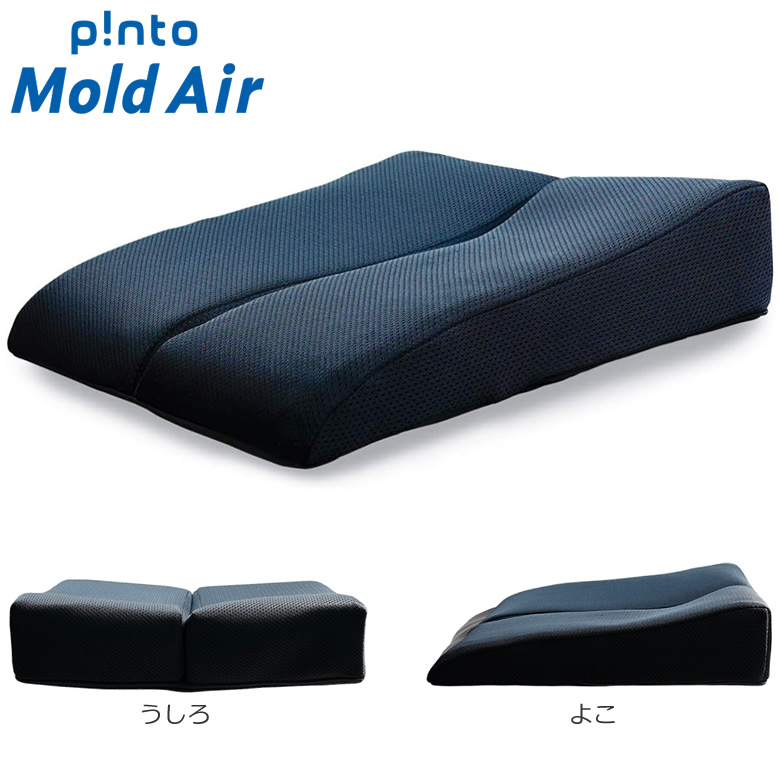 PAS-PMA-001 p!nto モールド エアー Mold Air