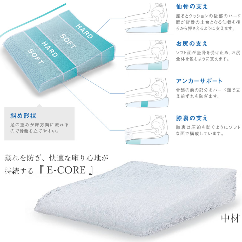 PAS-PMA-001p!nto モールド エアー Mold Air